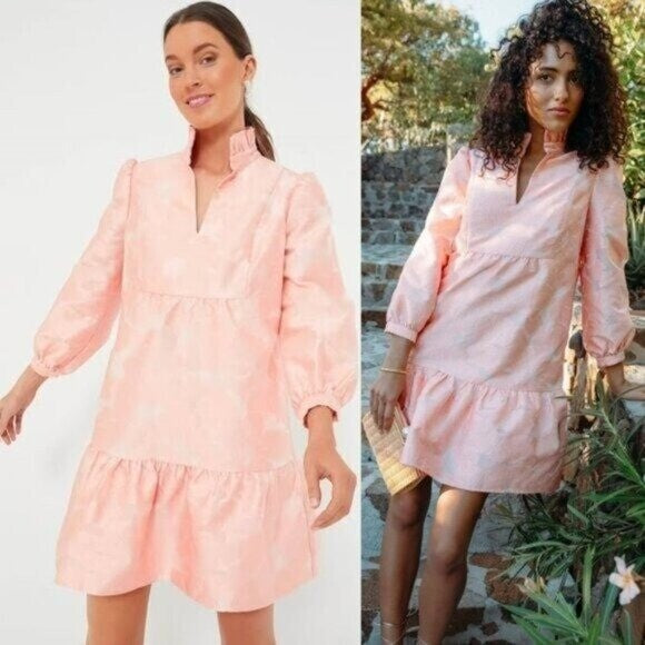 Tuckernuck NEW Bellini Fil Coupe Pink Drop Waist Long Sleeve Palmerston Dress L